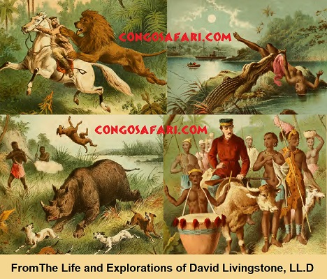 Livingstone's African adventures.